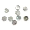 HobbyArts Perlemorsknapper, Blomst, 11.5 mm, 10 stk
